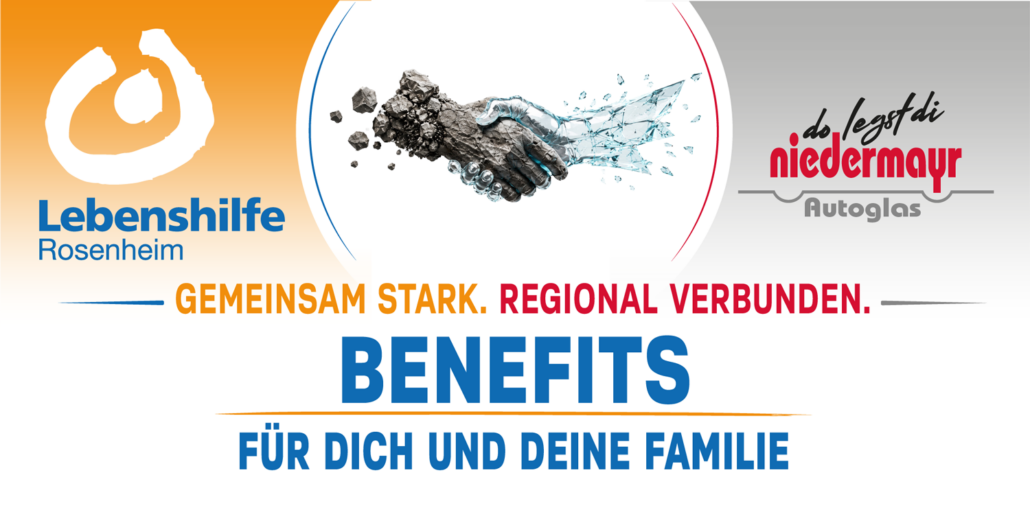 Lebenshilfe-RO-Banner